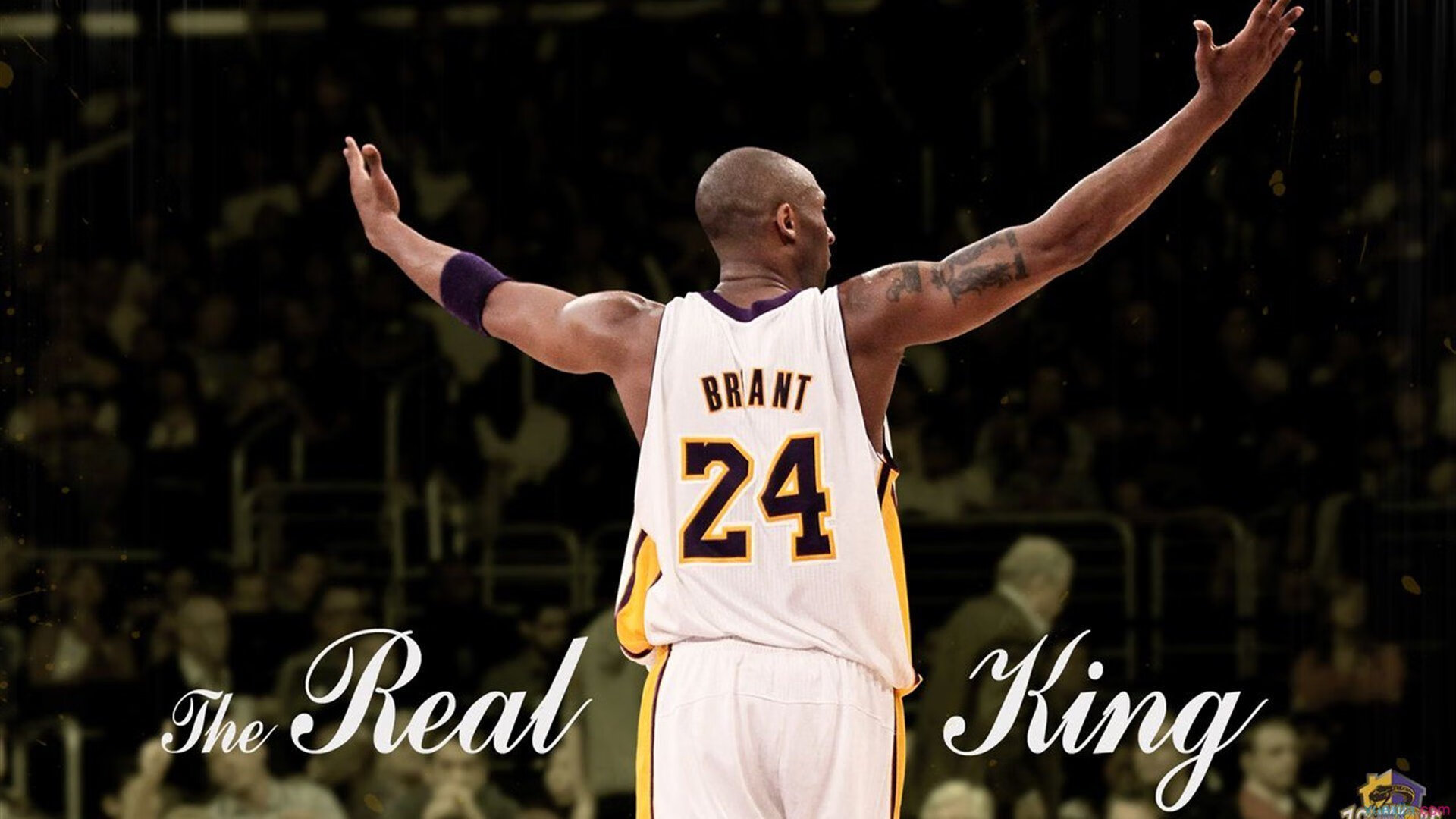 爱游戏app-“萨尔·巴赫：南非羚羊队的新希望，老队员的强大支持”